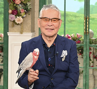 千昌夫